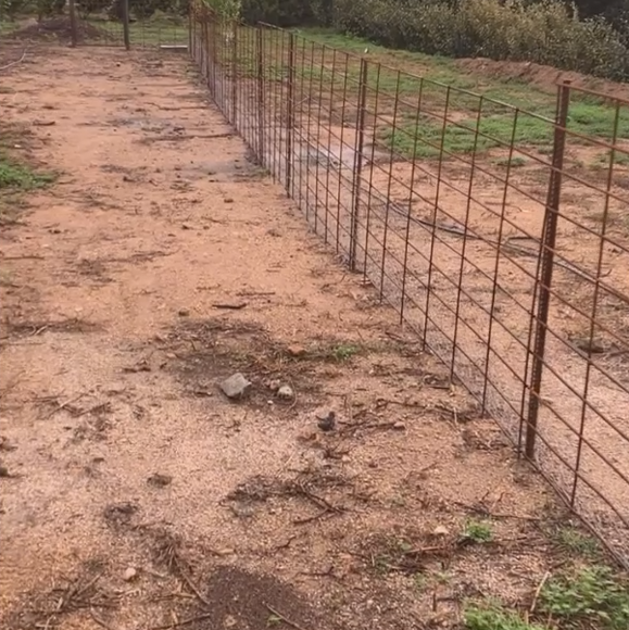 Installation de clôture végétalisée