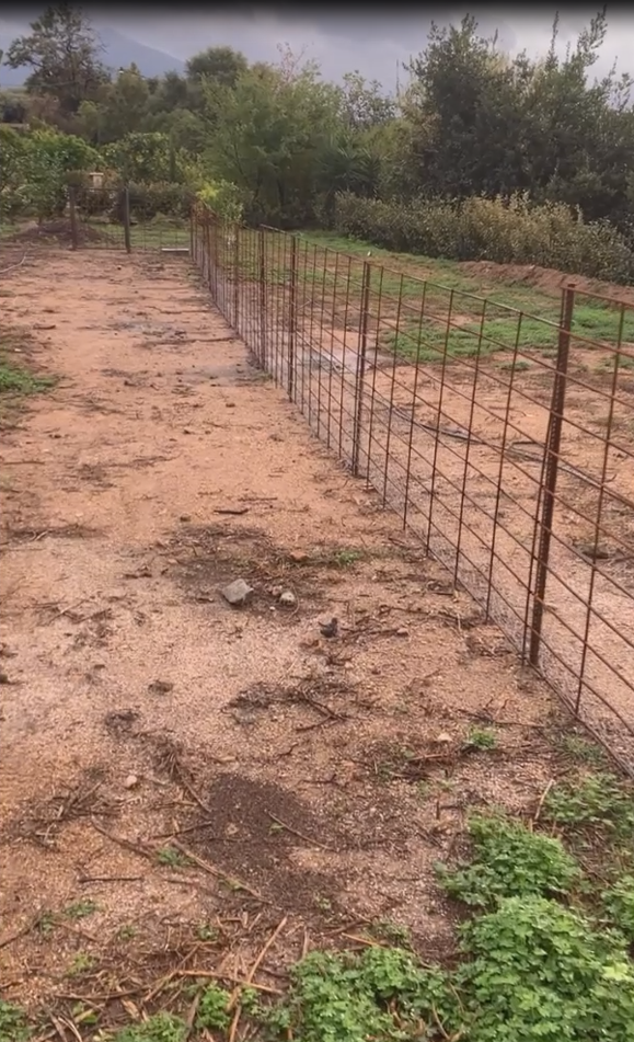 Installation de clôture végétalisée